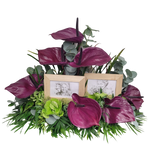 Bilderrahmen_-_Anthurien_-_rosa