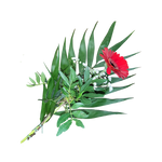 Gerbera_mit_Beiwerk_-_rot