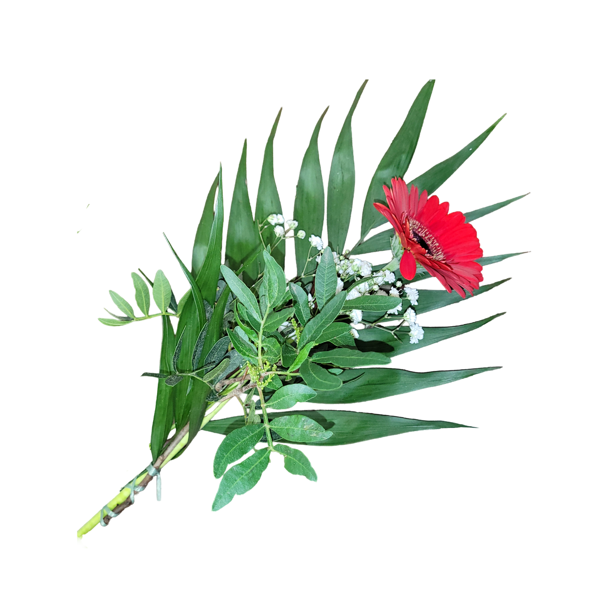 Gerbera_mit_Beiwerk_-_rot