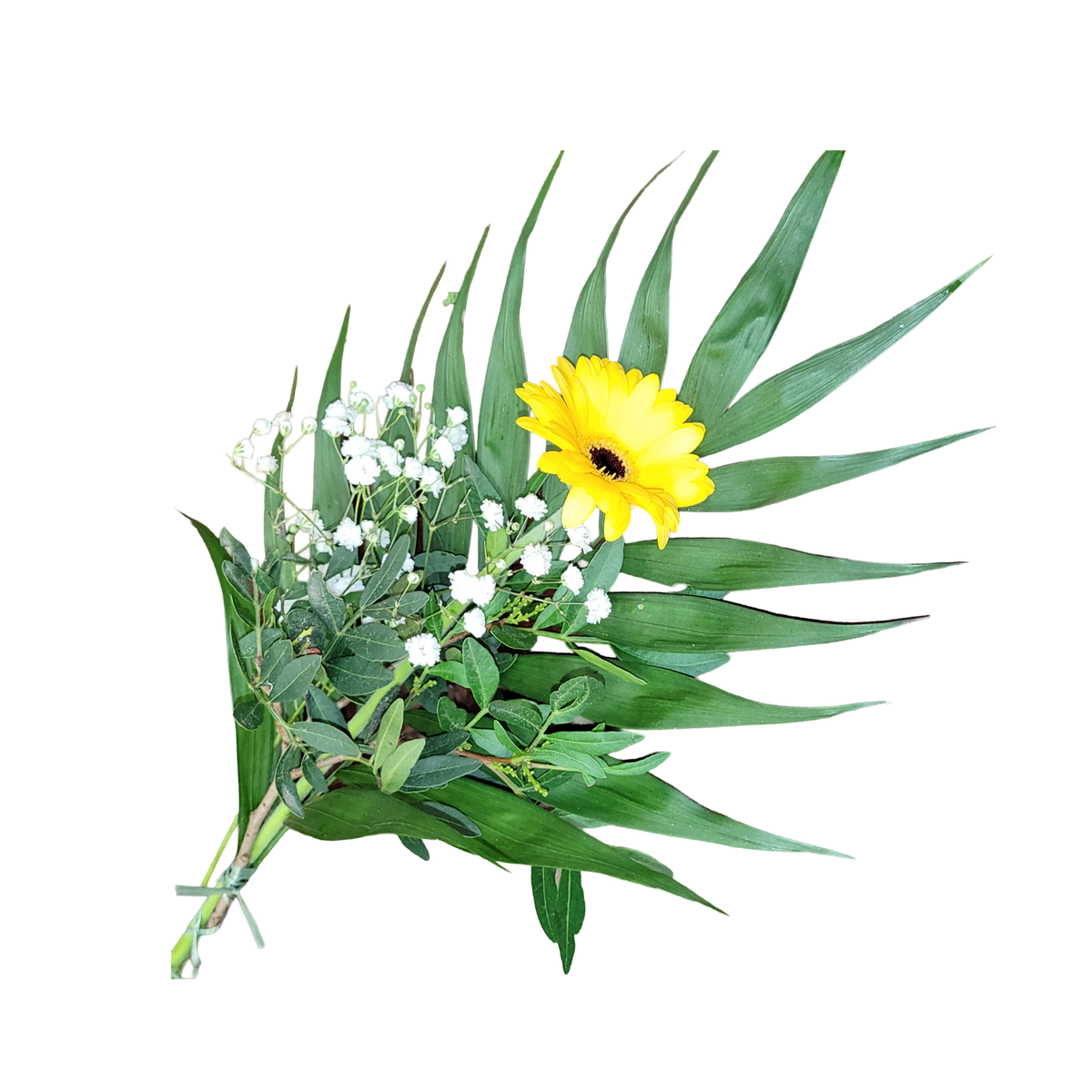Gerbera_mit_Beiwerk_gelb