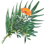 Gerbera_mit_Beiwerk_orange