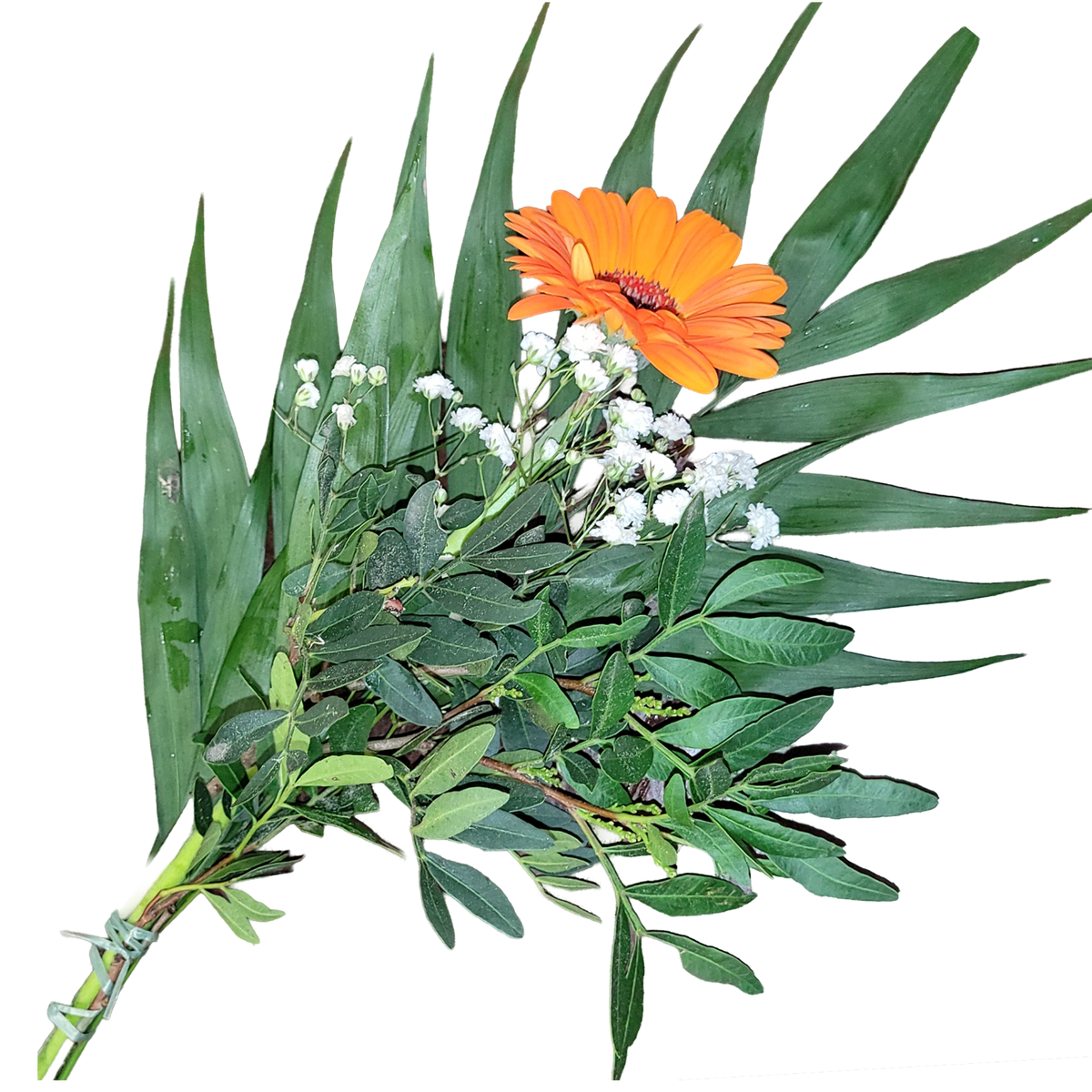 Gerbera_mit_Beiwerk_orange