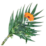 Gerbera_mit_Gruen_orange