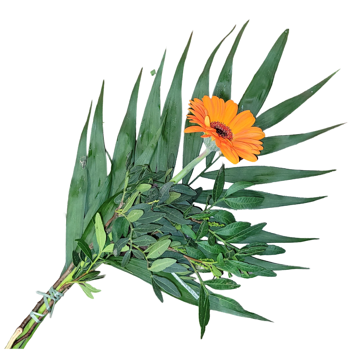 Gerbera_mit_Gruen_orange