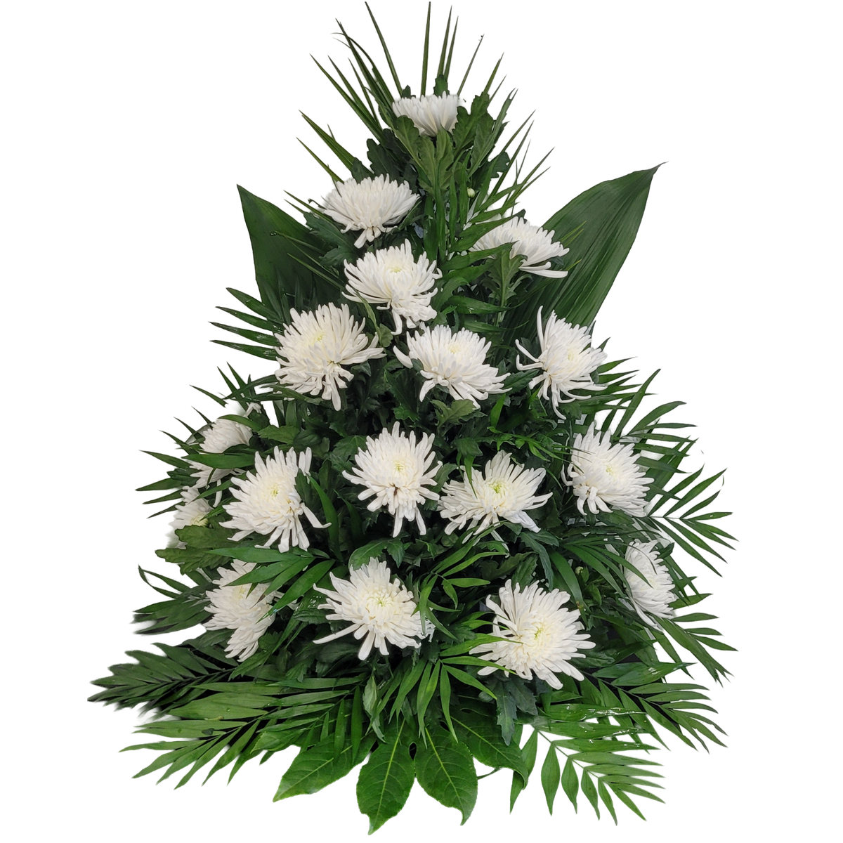 Gesteck_Hoch_-_Nur_Chrysanthemen_-_Weiss