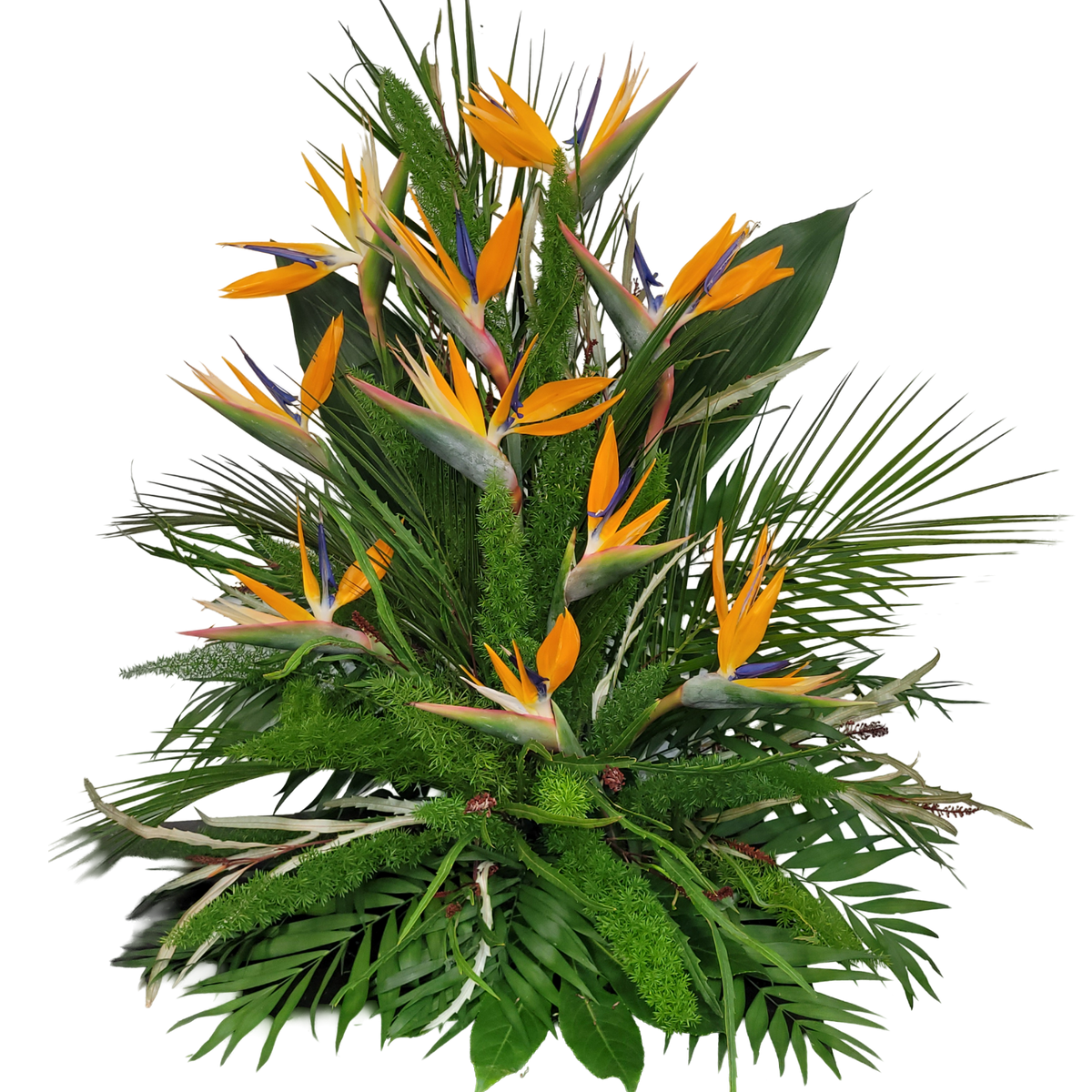 Gesteck_Hoch_-_Nur_Strelitzie_-_Orange_Blau