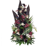 Gesteck_Hoch_-_Orchiedeen_Cymbidie_Dentrobie_Rosen_Anigozanthos_Nelken_Anthurien_Germinis_Alocasia_-_Schwarz_Weiss_Bortoax_Lila_-_Exoten