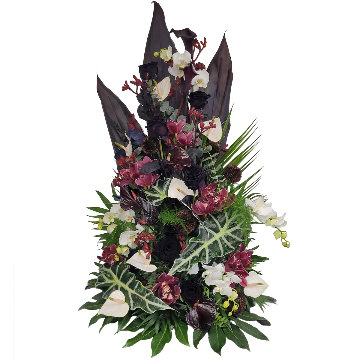 Gesteck_Hoch_-_Orchiedeen_Cymbidie_Dentrobie_Rosen_Anigozanthos_Nelken_Anthurien_Germinis_Alocasia_-_Schwarz_Weiss_Bortoax_Lila_-_Exoten