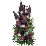 Gesteck_Hoch_-_Orchiedeen_Rosen_Anigozanthos_Nelken_Anthurien_Germinis_Alocasia_-_Schwarz_Weiss_Bortoax_Lila_-_Exoten