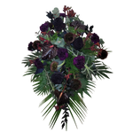 Gesteck_Mittel_-_Rosen_Nelken_Anthurien_Anigozanthos_Alocasia_-_Schwarz_Lila_Bordoax