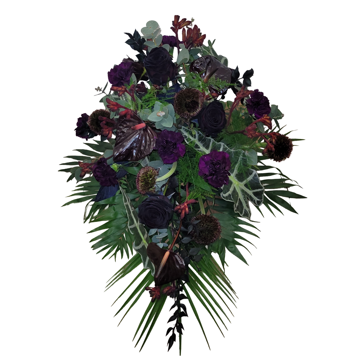 Gesteck_Mittel_-_Rosen_Nelken_Anthurien_Anigozanthos_Alocasia_-_Schwarz_Lila_Bordoax
