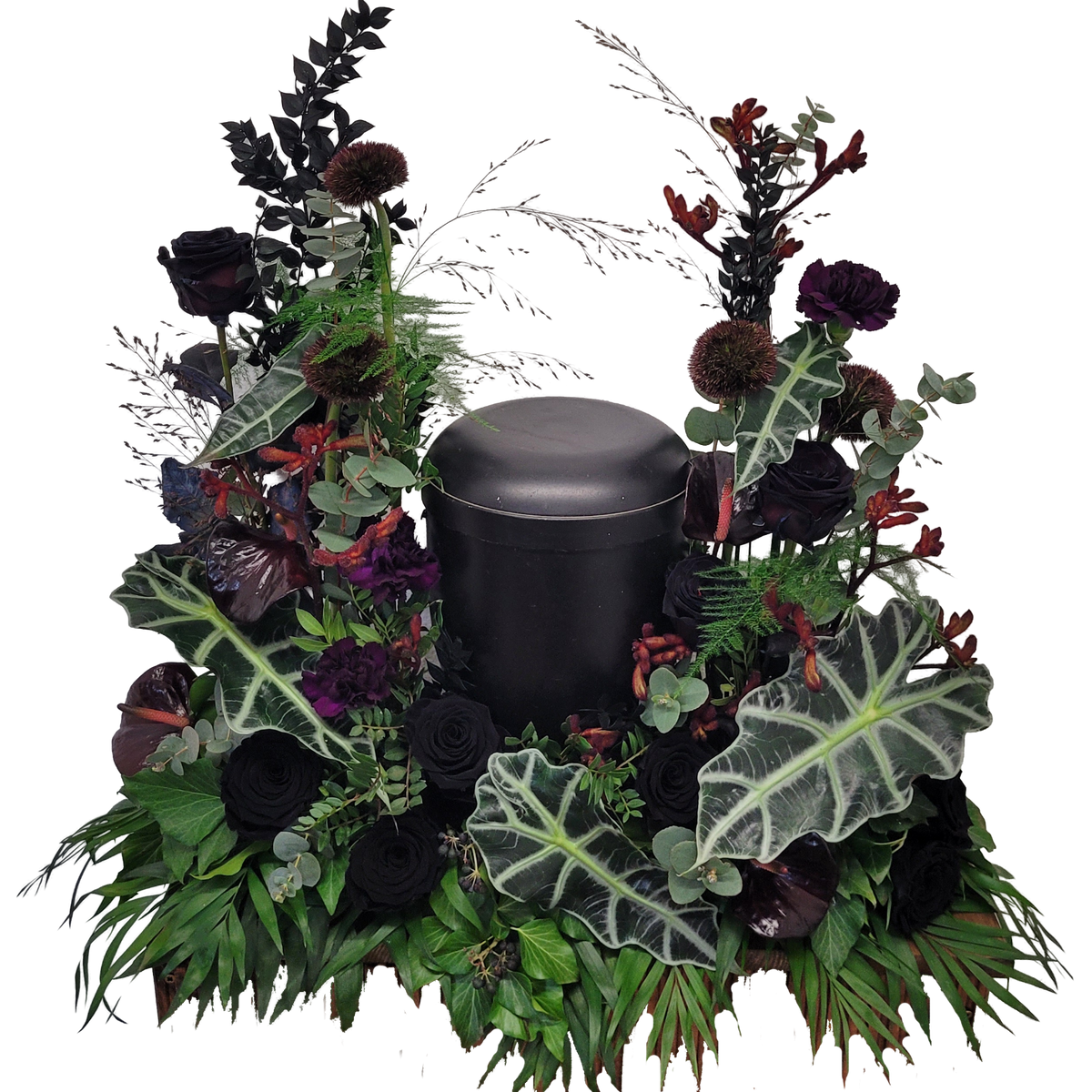 Gesteck_Mittig_-_Rosen_Anigozanthos_Nelken_Anthurien_Germinis_Alocasia_-_Schwarz_Bortoax_Lila