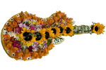 Gitarre_-_Sonnenbumen_Orchiedea_-_Gelb_Orange
