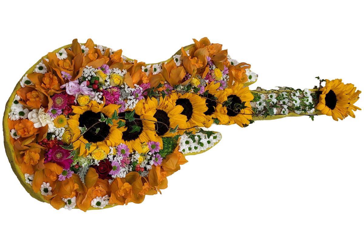 Gitarre_-_Sonnenbumen_Orchiedea_-_Gelb_Orange