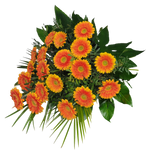 Grabstrauss_-_nur_Gerbera_-_orange