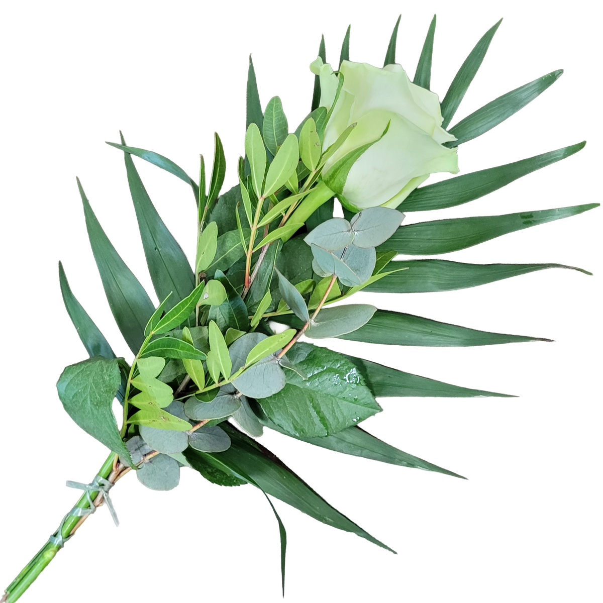 Handblume_Gruene_Rose_mit_Gruen