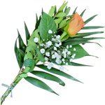 Handblume_Orange_Rose_mit_Beiwerk