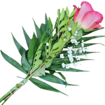 Handblume_Rosa_Rose_mit_Beiwerk
