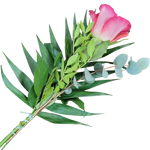 Handblume_Rosa_Rose_mit_Gruen