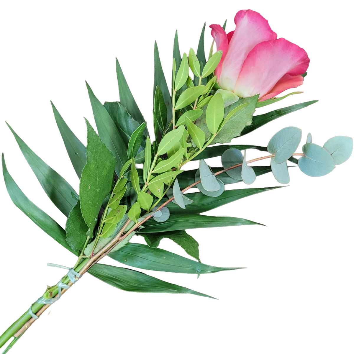 Handblume_Rosa_Rose_mit_Gruen