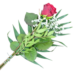 Handblume_Rote_Rose_mit_Beiwerk