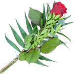 Handblume_Rote_Rose_mit_Gruen