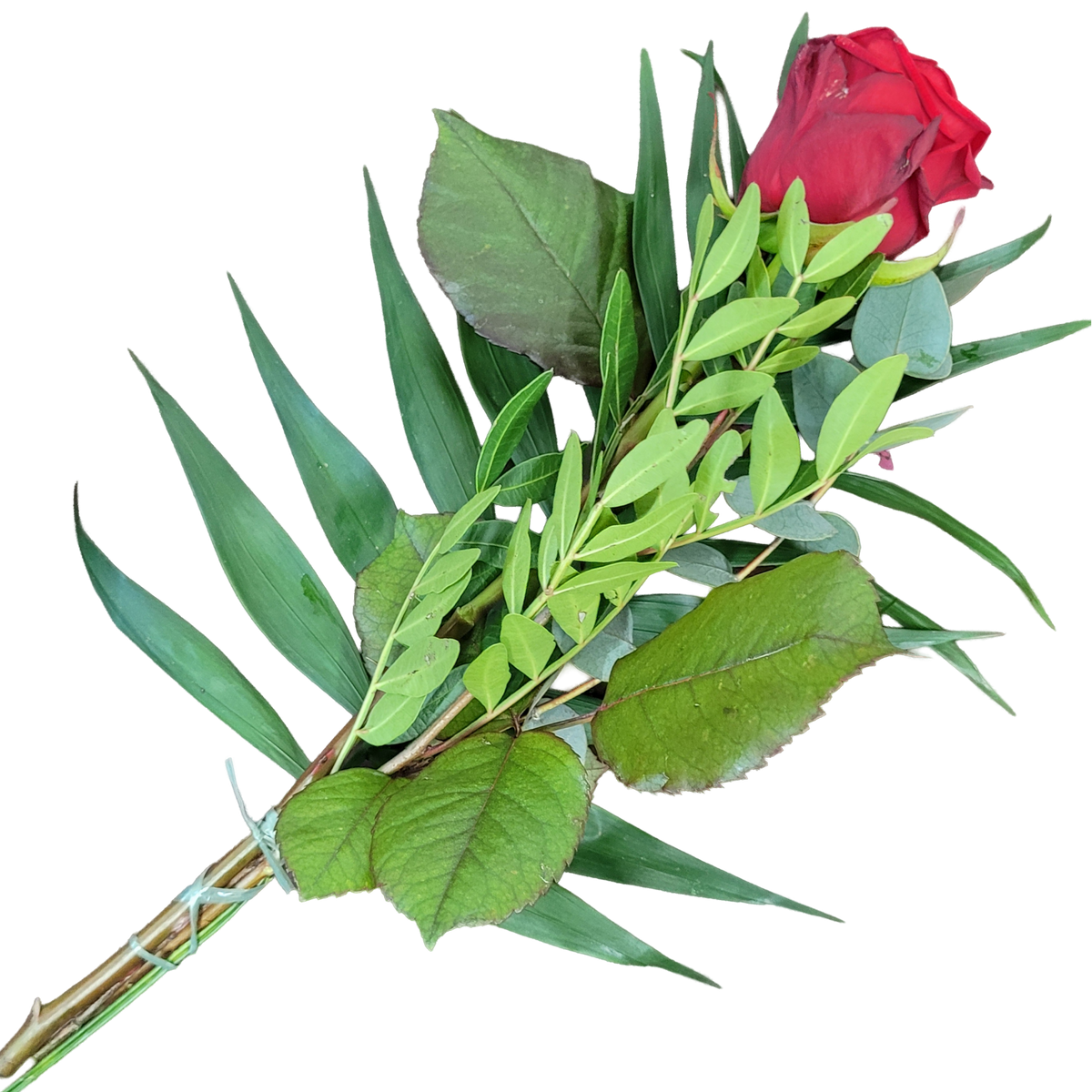 Handblume_Rote_Rose_mit_Gruen