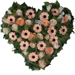 Herz_Gefuellt_-_Rosen_Gerbera_-_Lachs_Creme