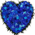Herz_Gefuellt_-_Rosen_Orchiedeen_Eustoma_Nelken_Chrysanthemen_-_Blau_Weiss