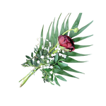 Ranunkel_mit_Beiwerk_-_Rot_-_Fruehling