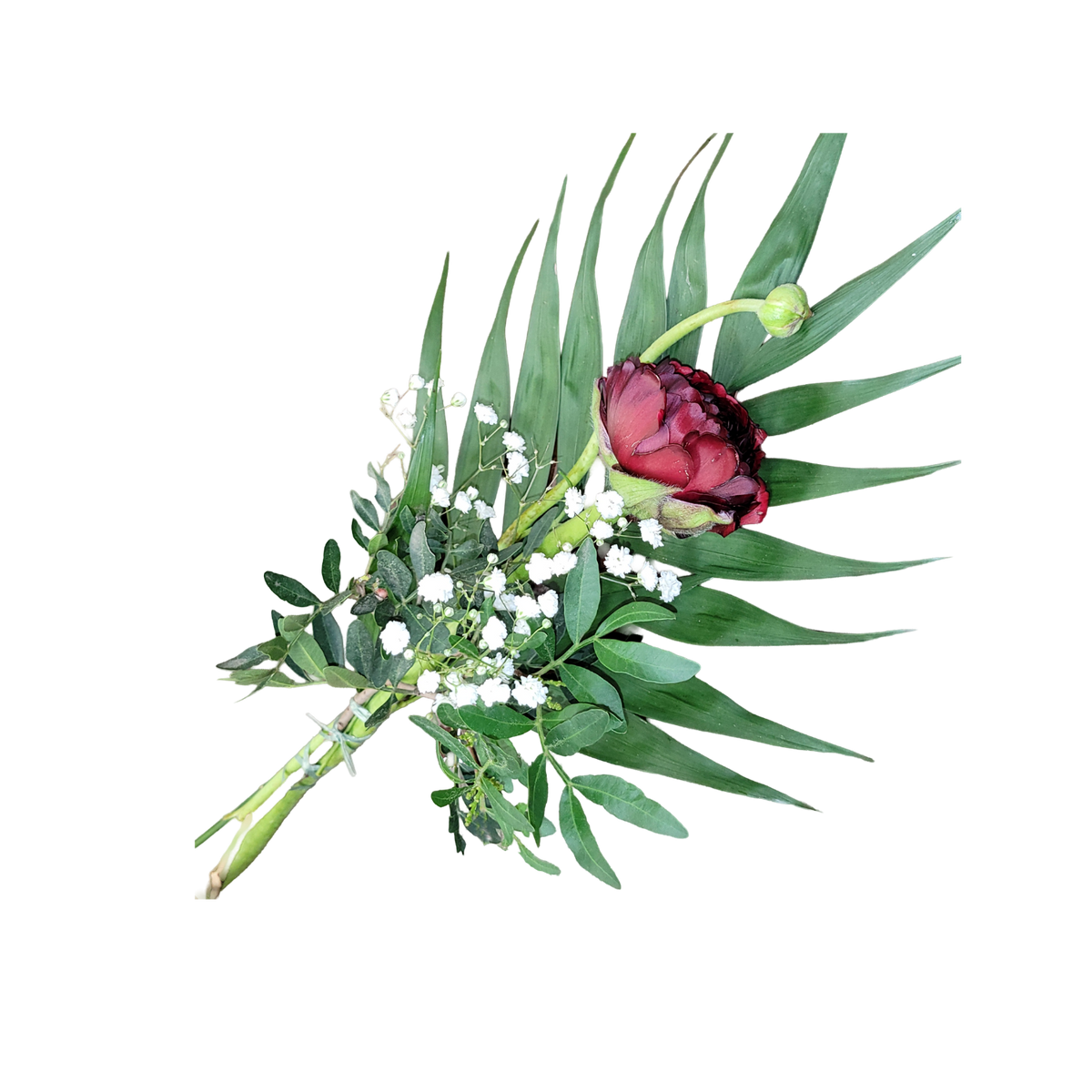 Ranunkel_mit_Beiwerk_-_Rot_-_Fruehling