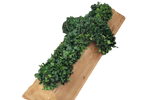 Sarg_Einteilig_-_Efeu_-_Gruen