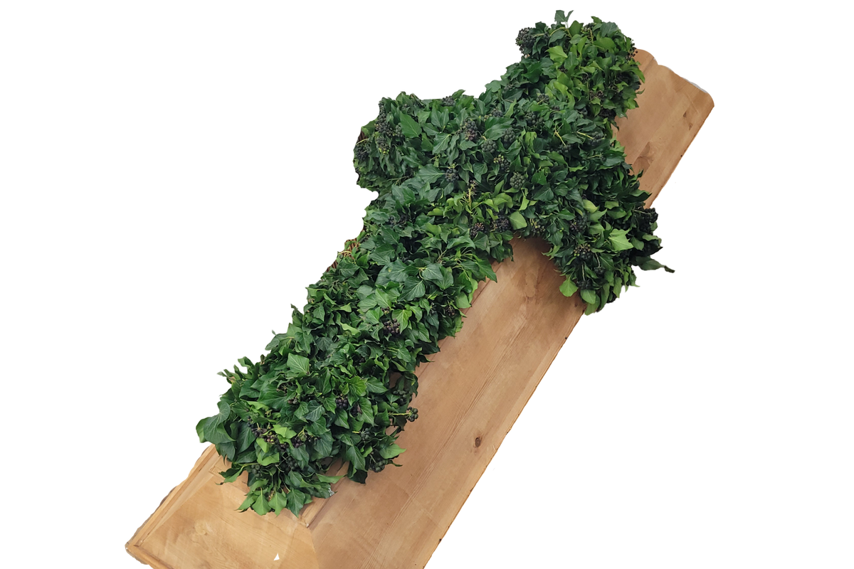 Sarg_Einteilig_-_Efeu_-_Gruen