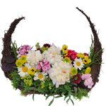 Schiffchen_-_Bartnelken_Pfingstrose_Veilchen_Kamille_-_Rosa_Gelb_Rot_Weiss_._Bund_-_Blumen_der_Saison_-_saison_Veilchen_Kamille_Pfingstrose