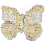 Schmetterling_-_Rosen_Nelken_Chrysanthemen_-_Weiss
