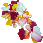 Streublumen_Bunt