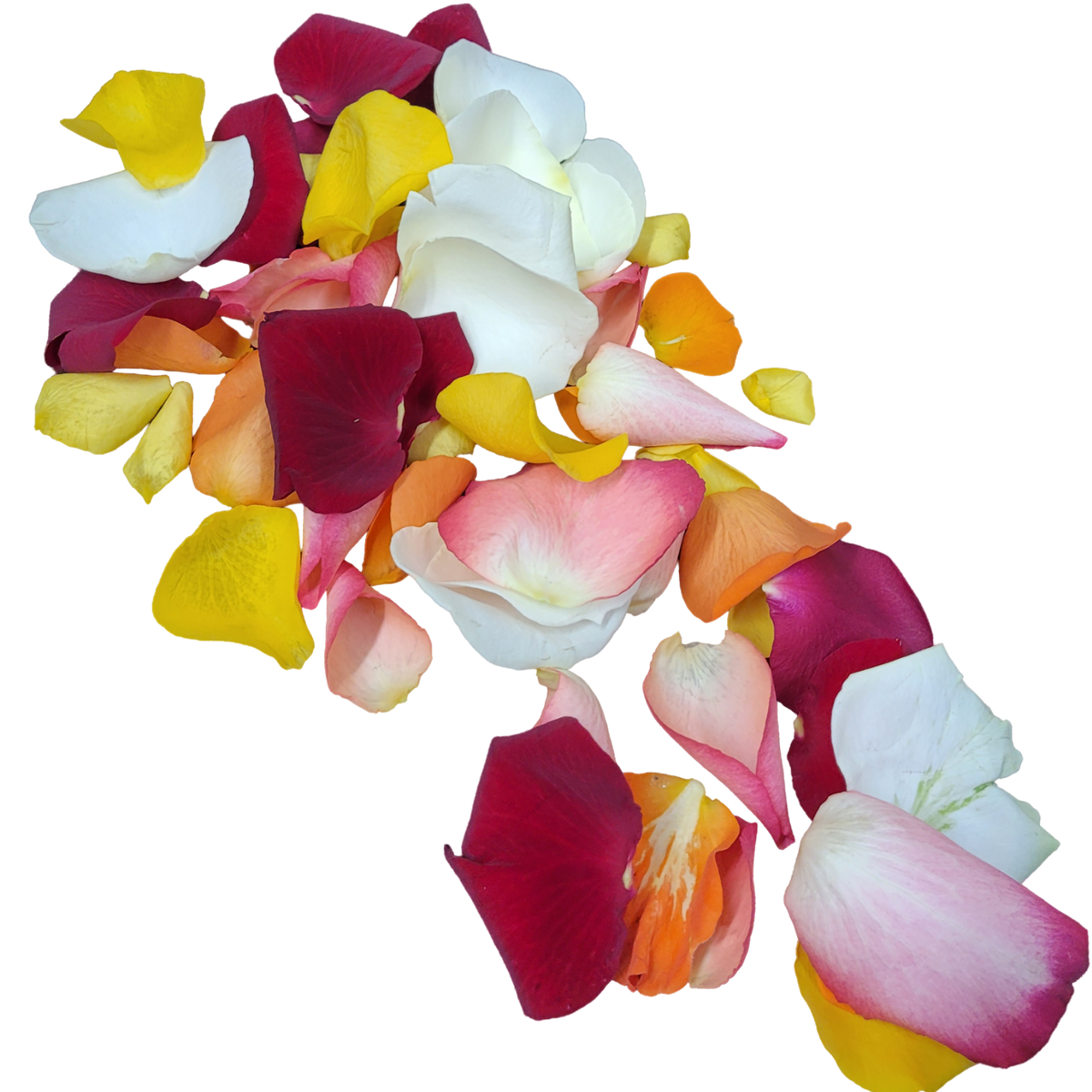 Streublumen_Bunt