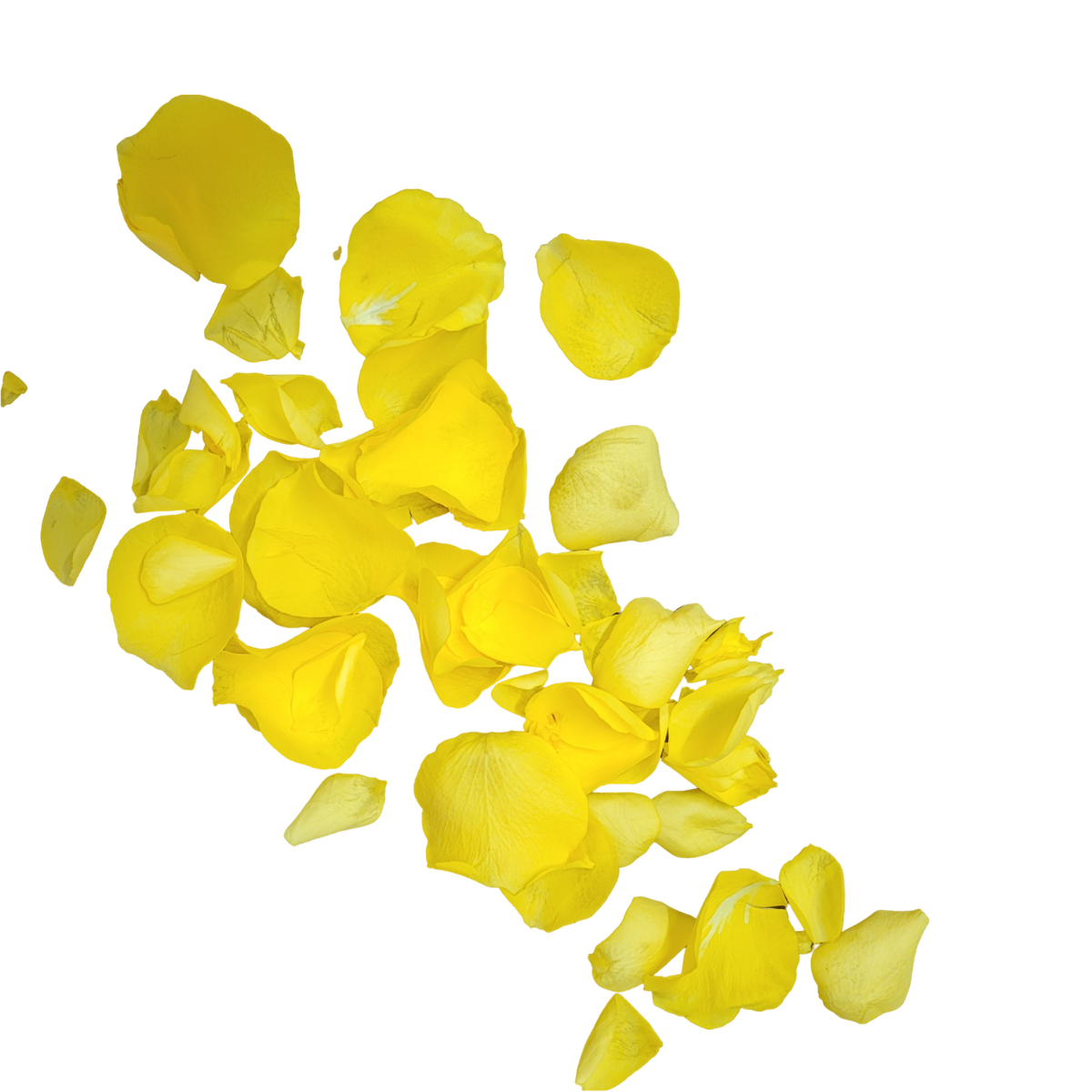 Streublumen_Gelb