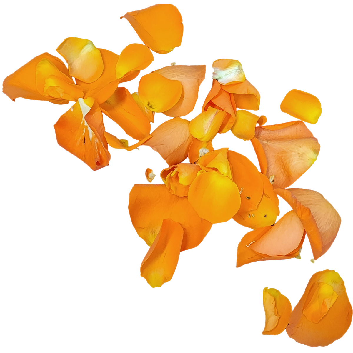 Streublumen_Orange