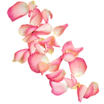 Streublumen_Rosa