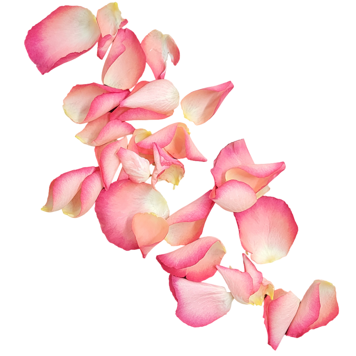 Streublumen_Rosa