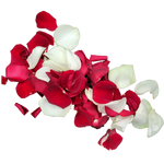 Streublumen_Rot_Weiss
