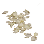 Streublumen_weiss