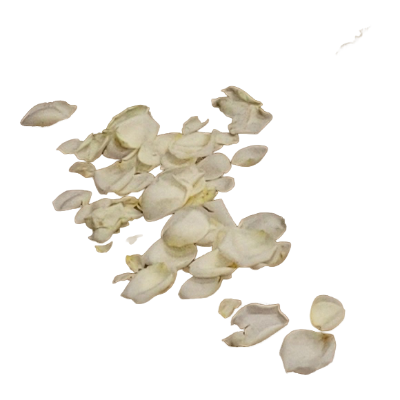 Streublumen_weiss