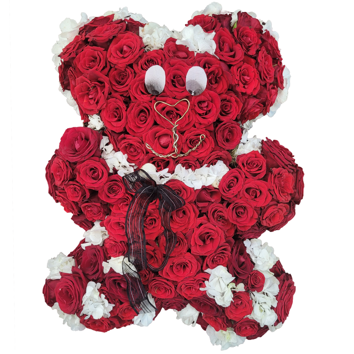 Teddy_-_Hortensie_Rosen_-_Weiss_Rot