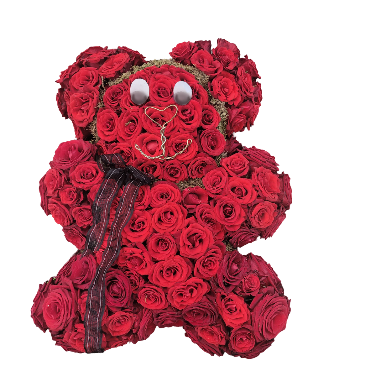 Teddy_-_Rosen_-_Rot