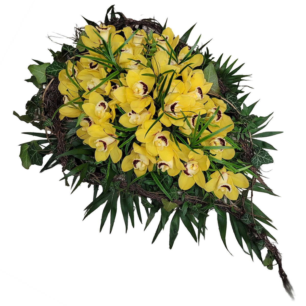 Traene_-_Nur_Orchiedeen_-_Cymbiedie_-_Gelb-_Exoten
