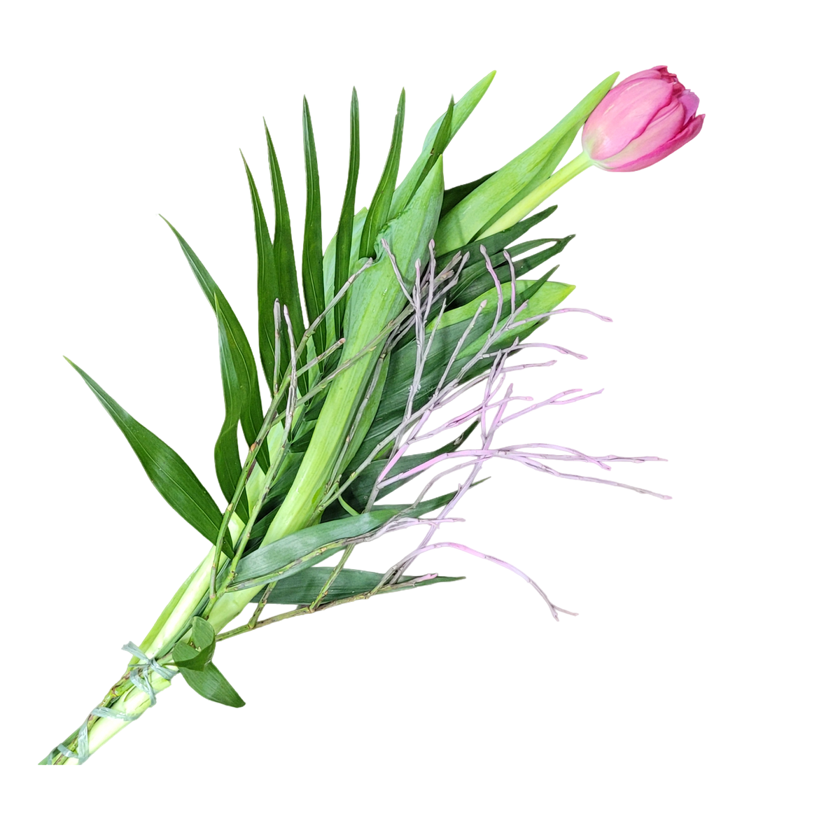 Tulpen_mit_Gruen_-_Pink_Fruehling