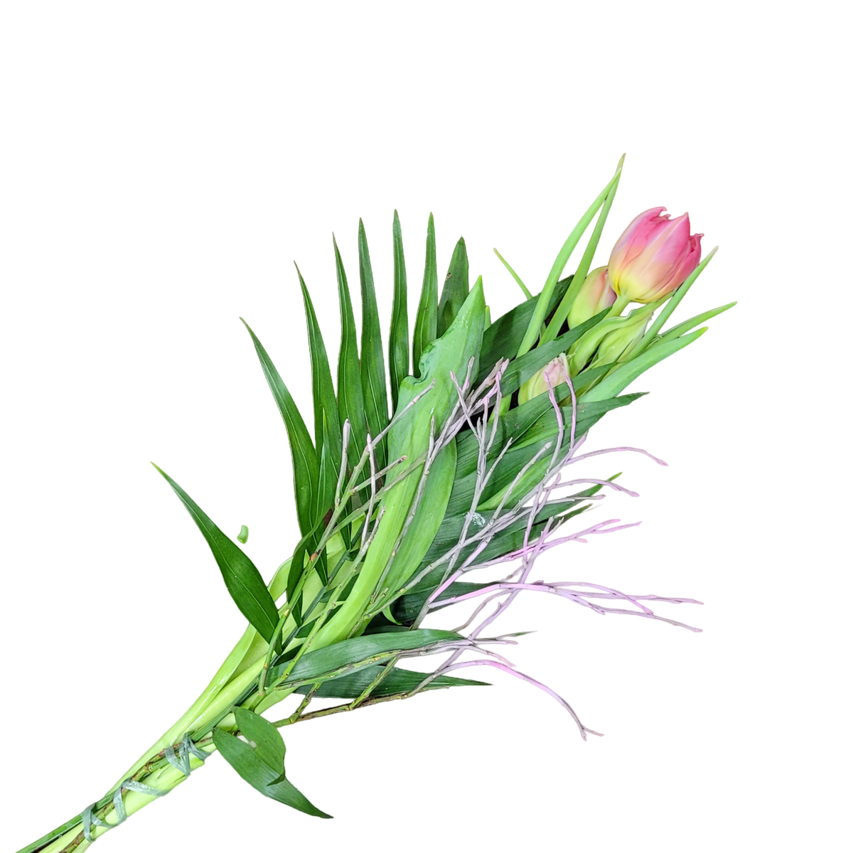 Tulpen_mit_Gruen_-_Rosa_Fruehling