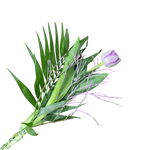 Tulpen_mit_Gruen_Weiss_Fruehling